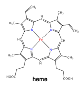 heme